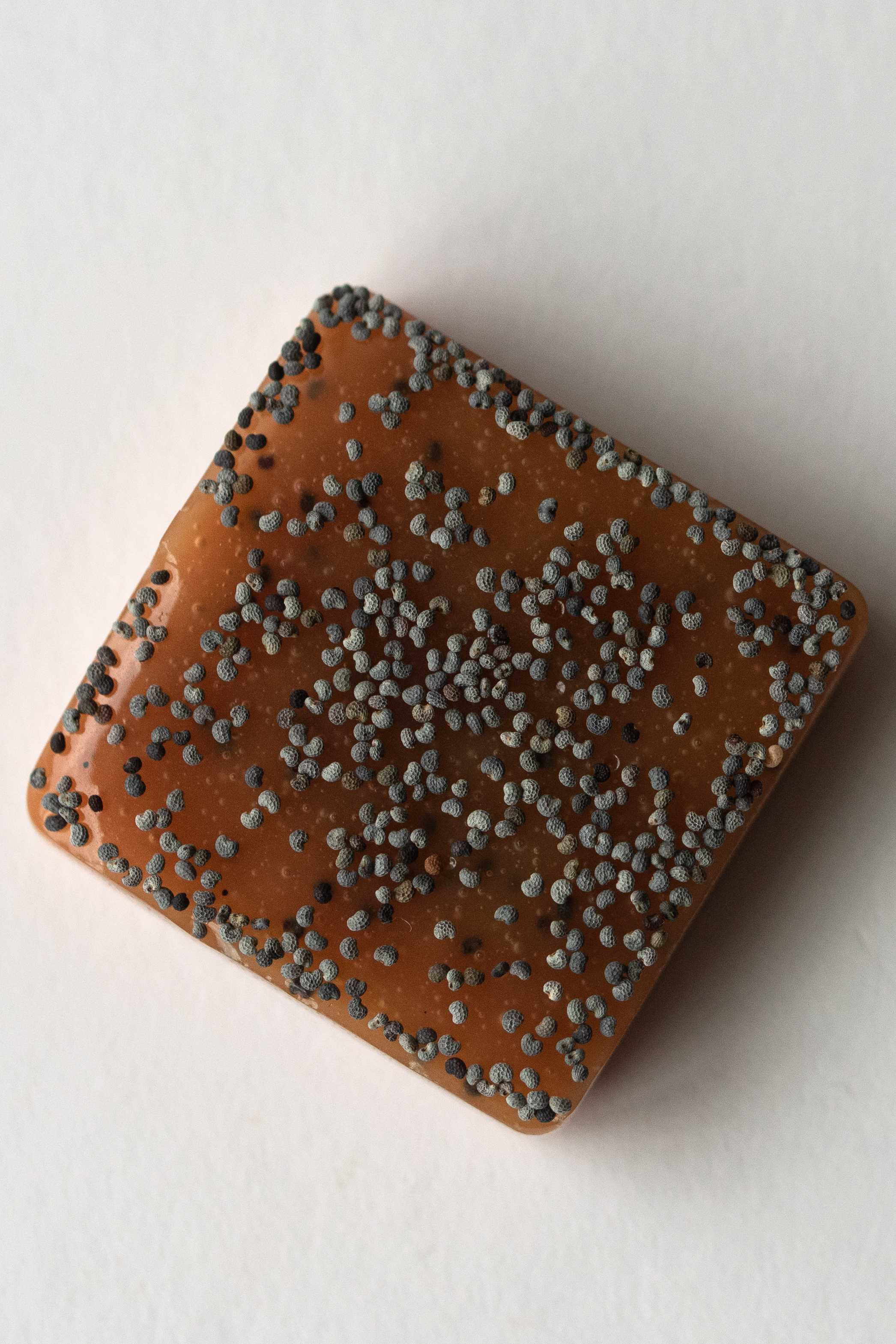 Lemon Peel & Poppy Seed